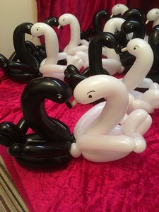 balloon swans