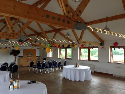 balloon bunting