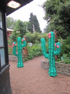 balloon cactus