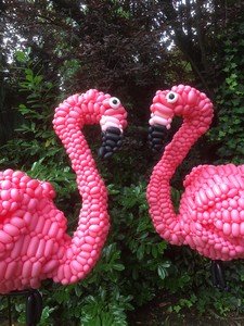 balloon model flamingo