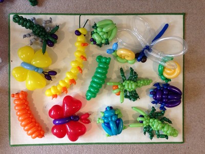 balloon model insects
