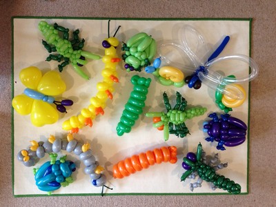 balloon model insects
