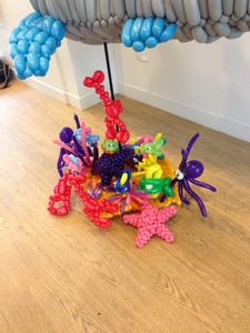balloon model starfish