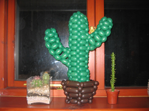 balloon cactus