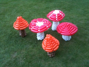 balloon mushrooms toadstools