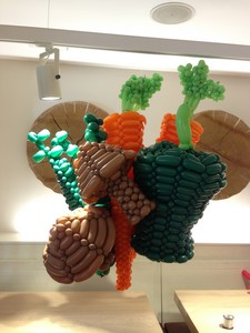 balloon model vegetables