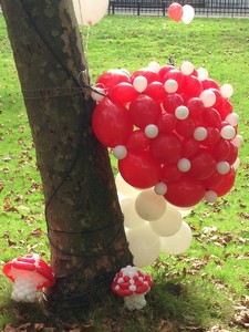 balloon model toadstool