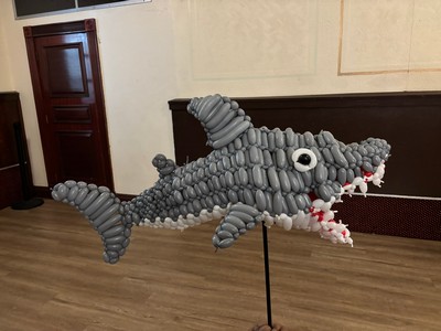 shark cage balloon model